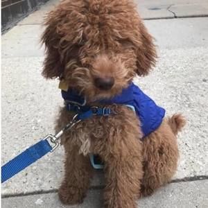 Meet your Posher, Jaime